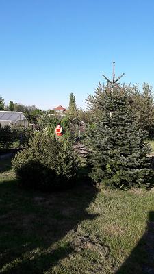 Daniel Raeder Garten- und Landschaftsbau