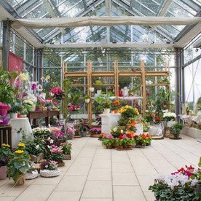 Blumenhaus Mitschurin - Mitschurin Galabau & Technik GmbH