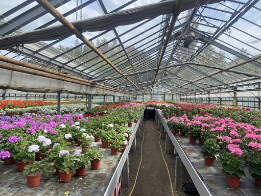 Bernd Haase Garten- und Landschaftsbau