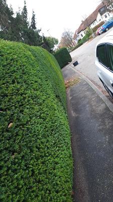 682df053ae9e3