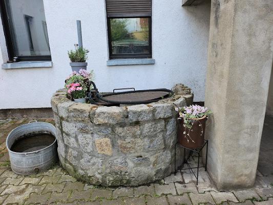 TINPLANT Biotechnik und Pflanzenvermehrung GmbH