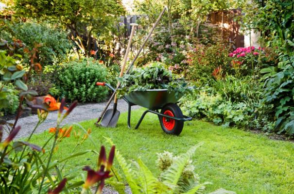 Gartenpflege u. Hausmeisterservice - Hartmut Seidel