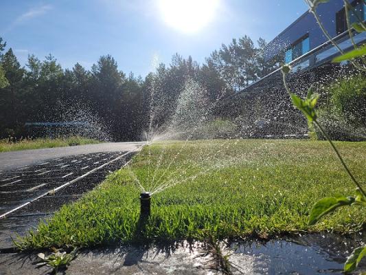 Doll Gartengestaltung und Pflege
