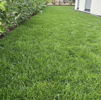 Gebrüder Veselaj GbR Gartengestaltung und Terrassenbau