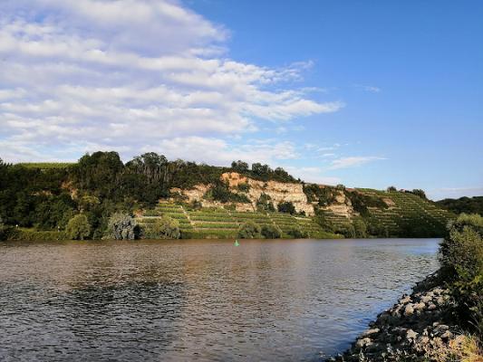 Belser & Scheuermann