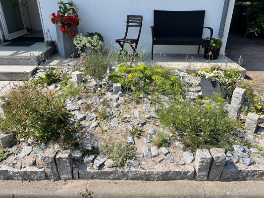 ReNature Garten-Design