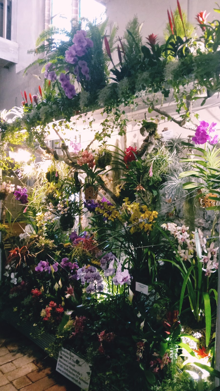 682dd566232ba