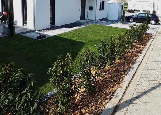 Aedificia Vasile Galabau