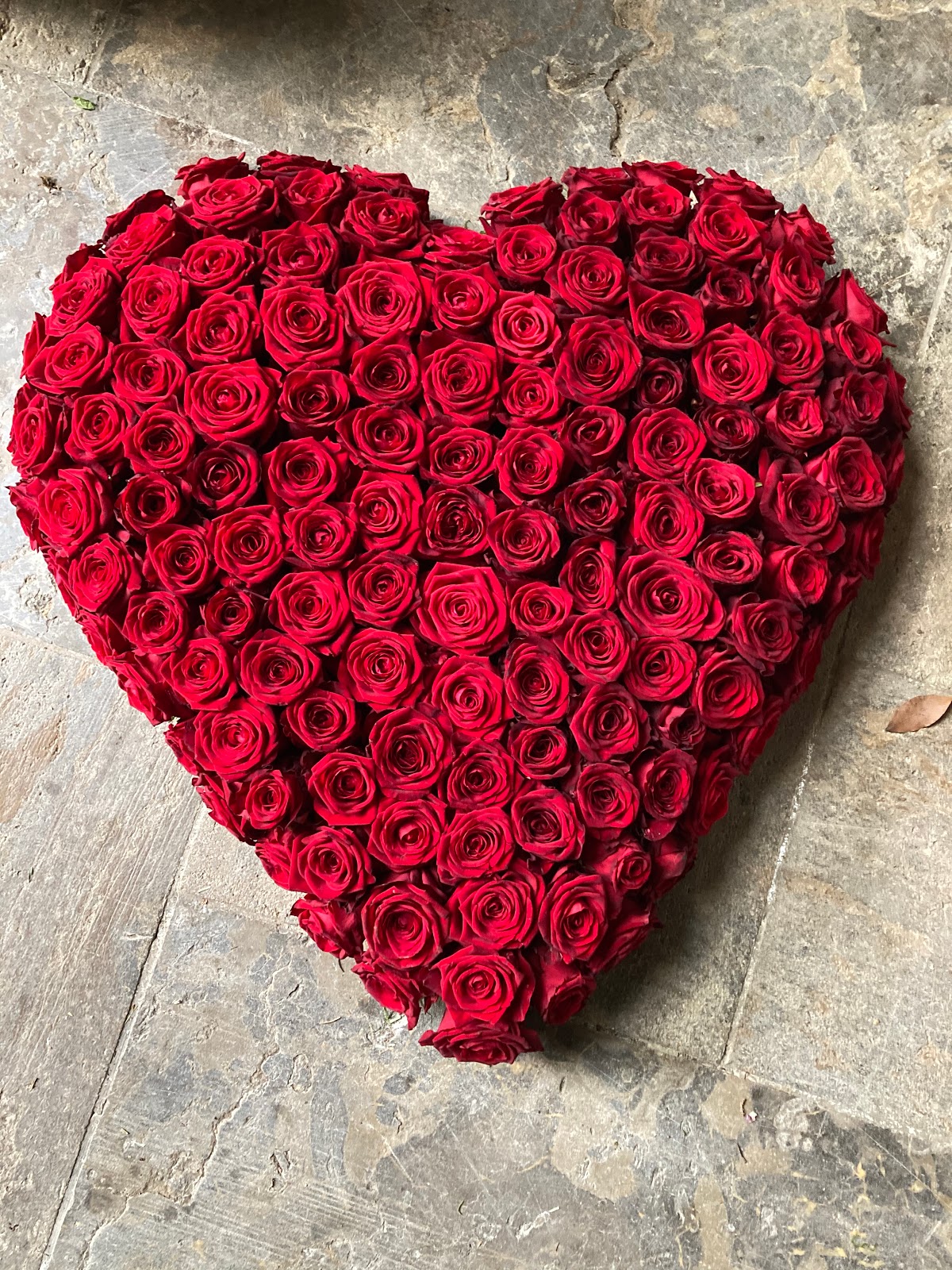 682df13dd18ab