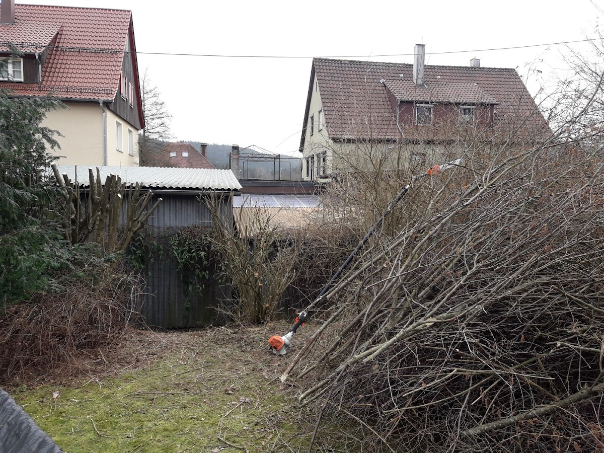 682df1936d341