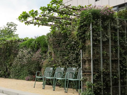 waba Vegetationswandsystem