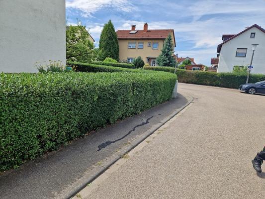 RGWEF Dienstleistungen e.K.Gut und Günstig