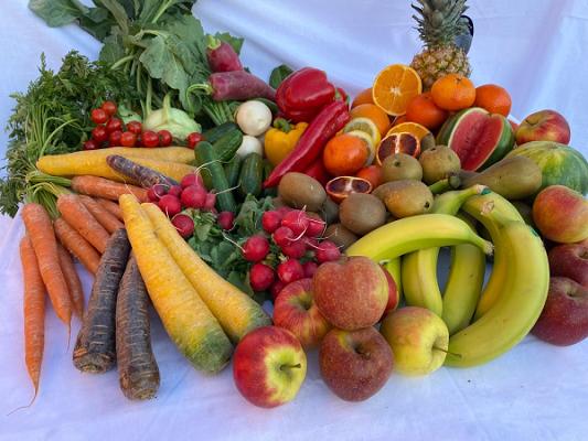 S Gärtle In Der Garage