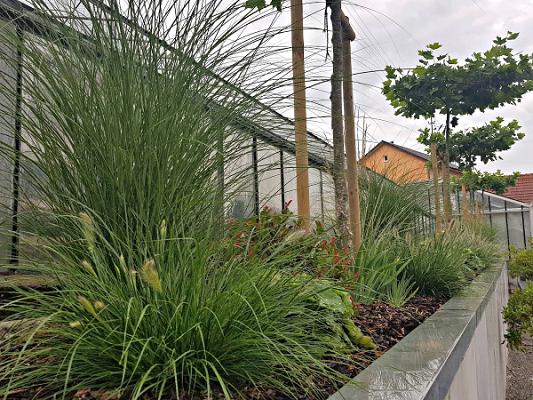 Gartenbau Thomas Henn