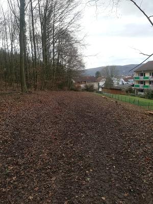 Bernd Sauer Kommunale Dienstleistungen e.K.