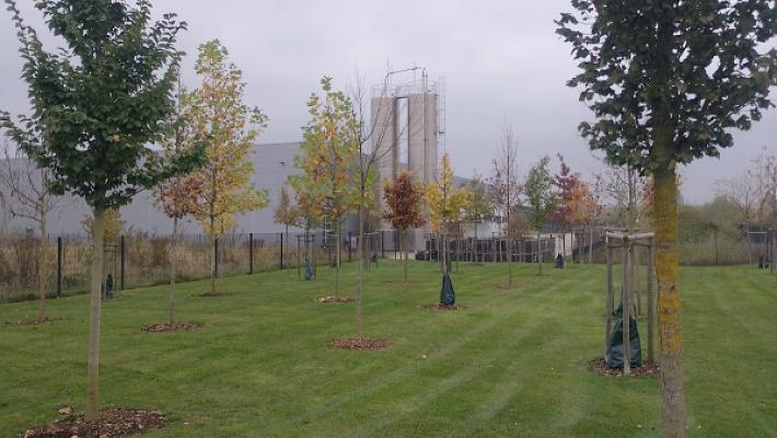 KS Dienstleistungen - Forst, Garten & Landschaftsbau