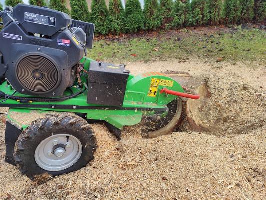 Baumstumpfnager - Wurzelfräsen & Gartenpflege