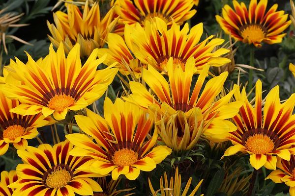 682df39418689