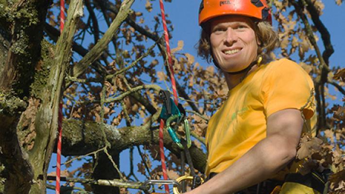 schnippschnapp - Baumpflege & Spezialfällungen Martin Withalm
