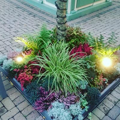 Baumschule/Gartenservice Weber