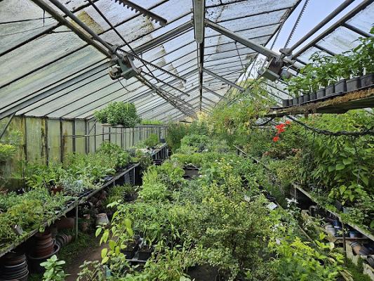 Bioland Gärtnerei Dieter Haas