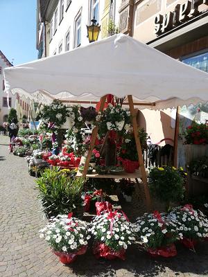 Blumengeschäft Rüdenauer