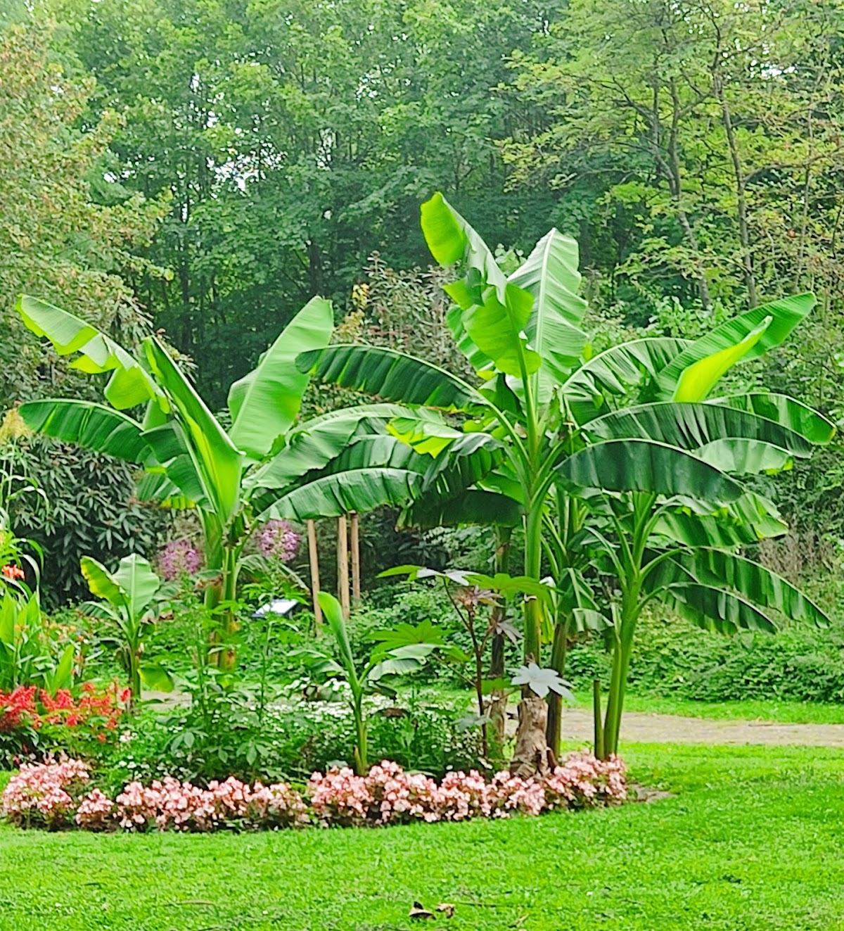 682df97753545