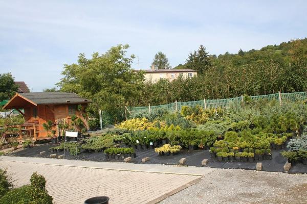 Baumschule Mayer GbR