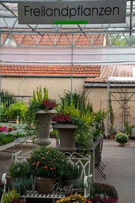 Blumenhaus & Gärtnerei Rüger