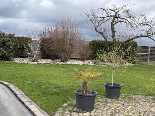 ARAM Garten- und Landschaftsbau