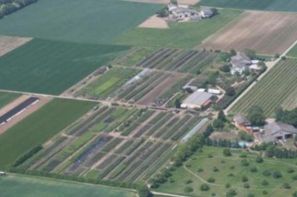 Baumschule Jäger Karin und Jörg Büttner GbR