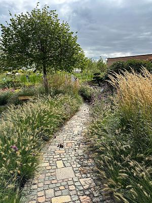 Jung Garten & Landschaft