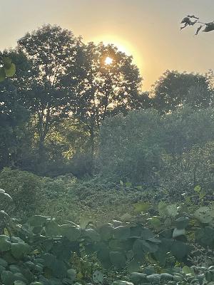 Unterer Neckar: Neckaraue zwischen Botzheimer Wasen und Obere Wörth