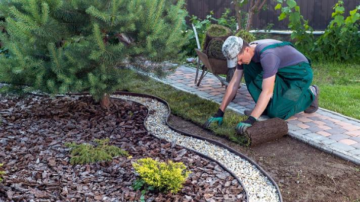 Mr. Green Gartenpflege