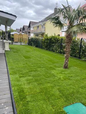 Beqiri Dienstleistungen- Der Partner für Haus und Garten