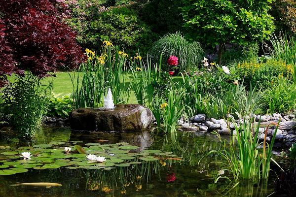 Gartengestaltung Dieckermann GmbH