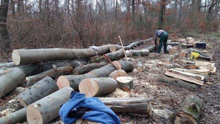 Gartenservice und Bauservice Wermuth