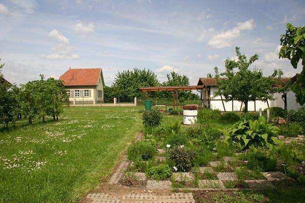 Obst- und Gartenbauverein Reilingen