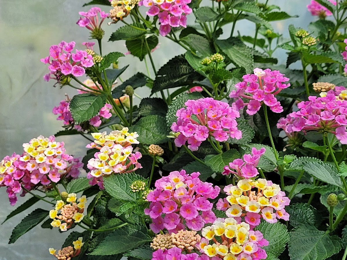 682dfb008b1a7