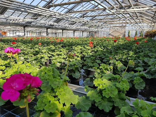 Stadtgärtnerei Heidelberg