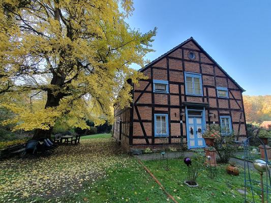 Jens Kosemund - Garten und Landschaftsbau