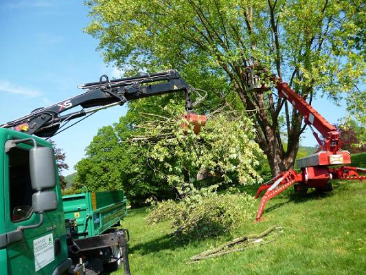 Baumpflege Kronbichler