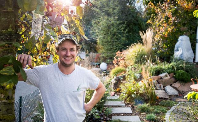 Gartengestaltung Hollwegs