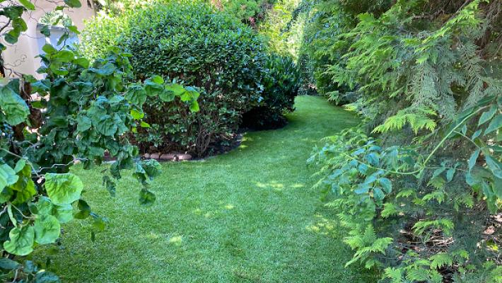 GARTENBAU LEIMEN