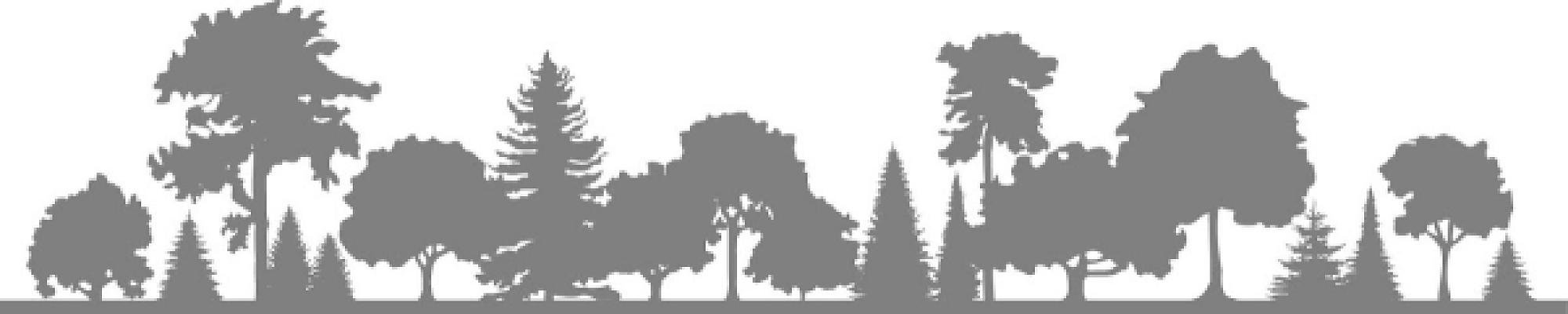 Baumpflege24 Marcus Hanke