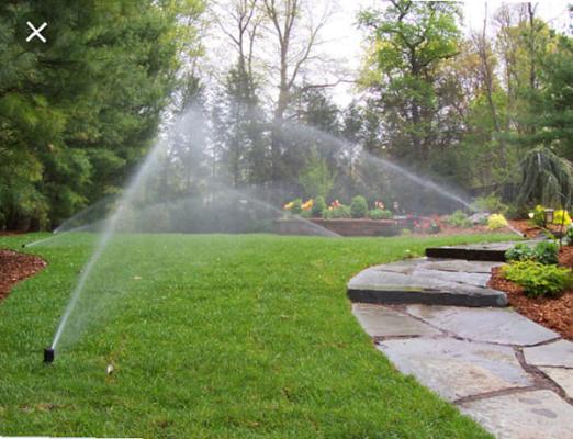 David Domenech-Jacobsen