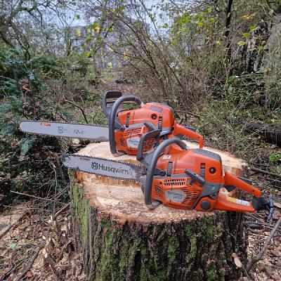 Der Arborist - Florian Rimbach