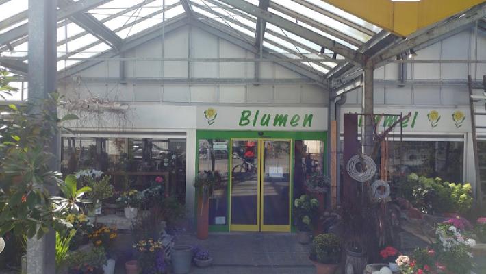 Blumen Kimmel GbR