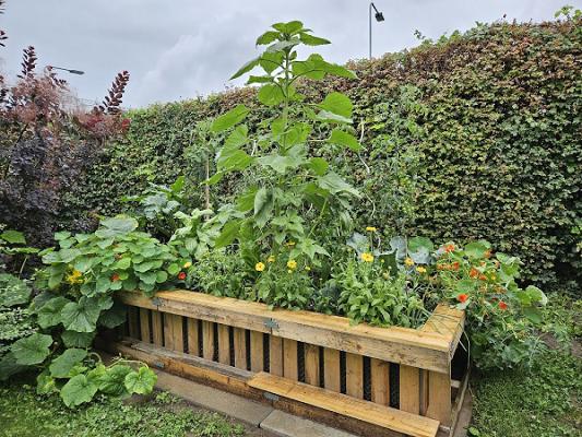 Gartenberatung & -planung