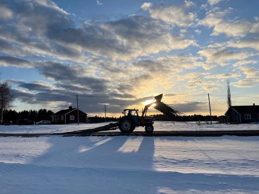 Land- und Forstwirtschaft BB